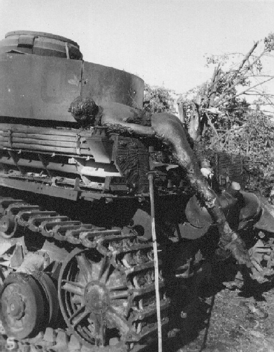 Carnage & Destruction